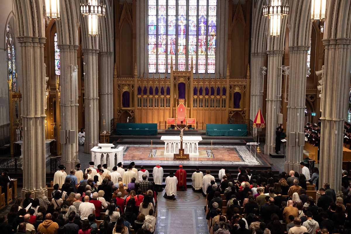 Archdiocese of Toronto tweet media