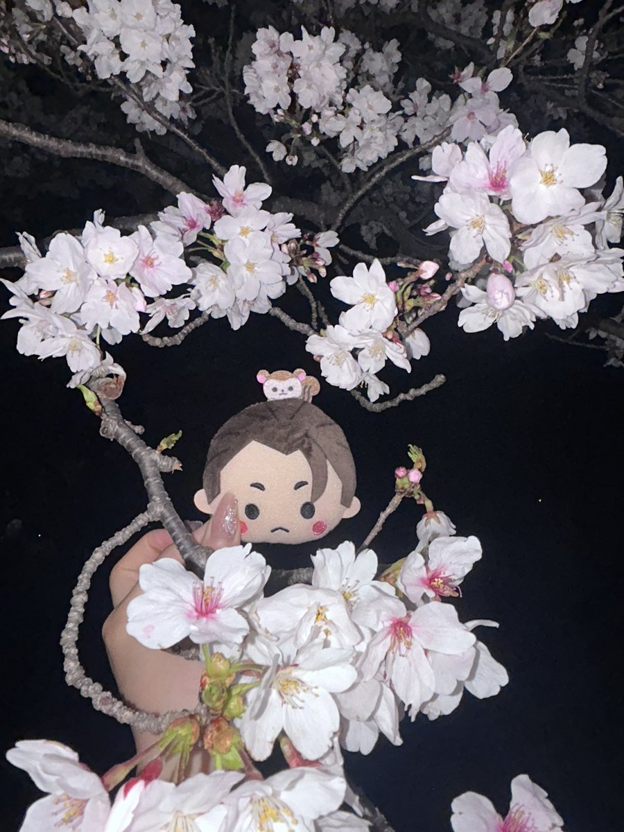 うなだよ‼️ tweet media