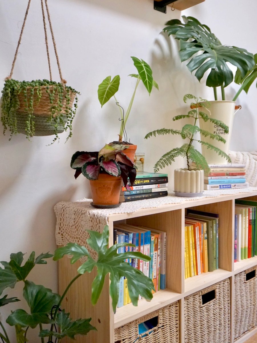 Martin Hilse tweet media