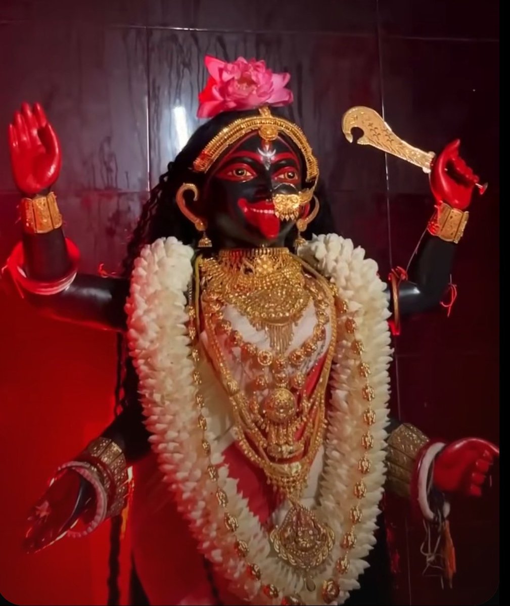 Survi Rawat tweet media