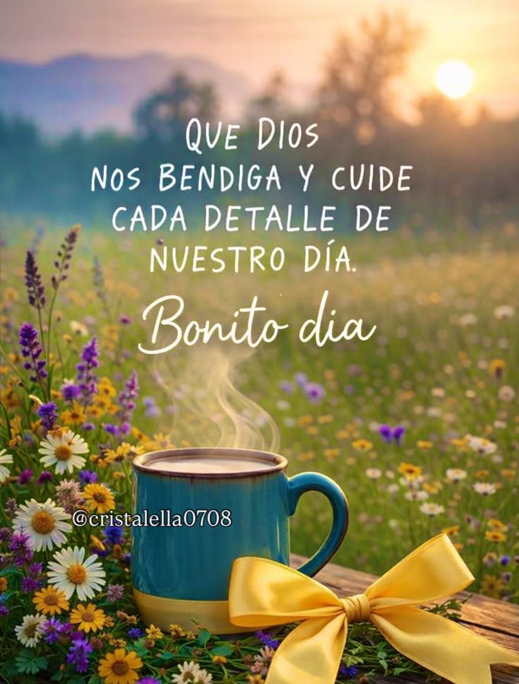 Nilda Petit tweet media