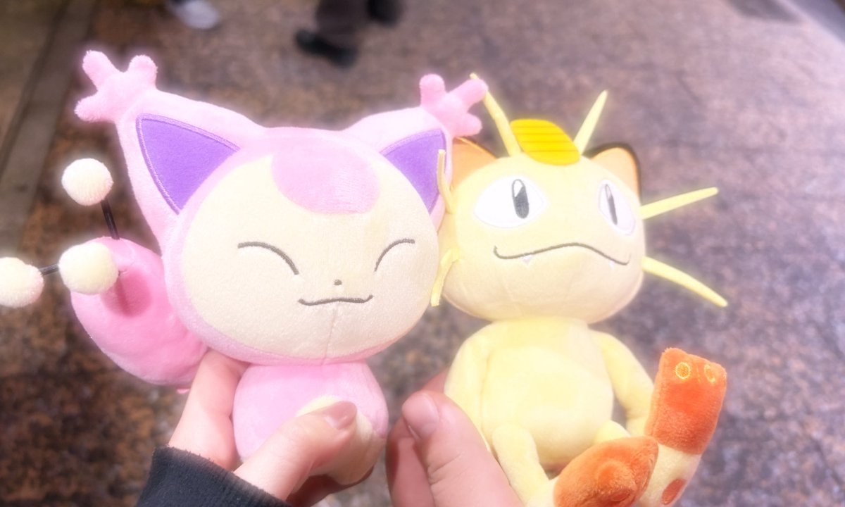 こあら tweet media