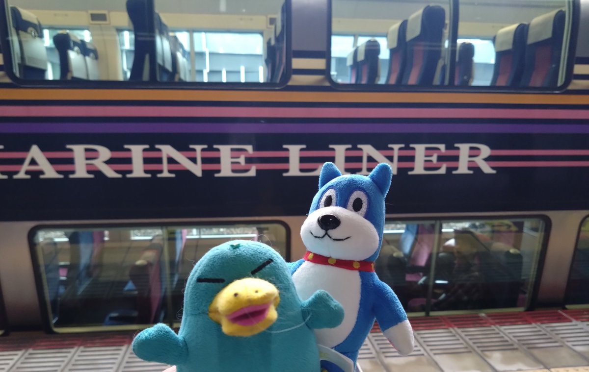 まるさ tweet media