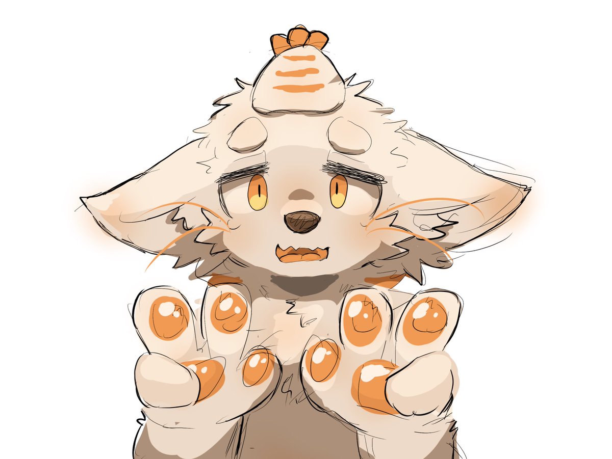 えびどらいぶ‼️🦐 tweet media