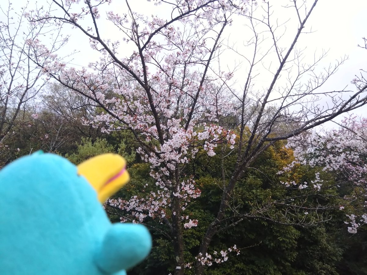 まるさ tweet media