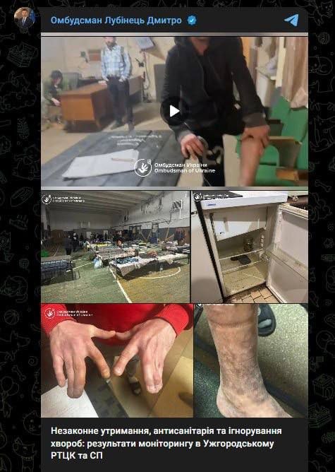 Pavla Petrů tweet media