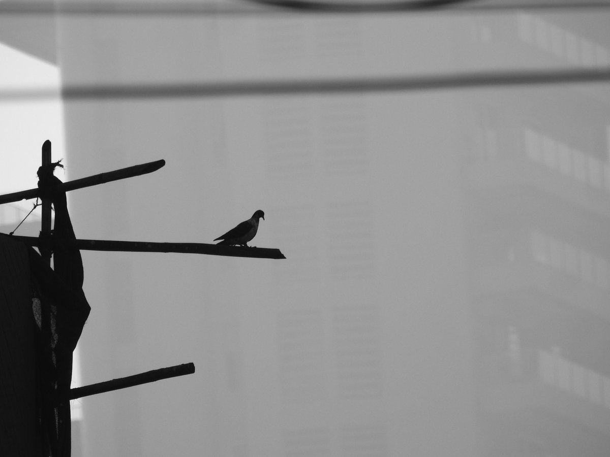 SlickClicks tweet media