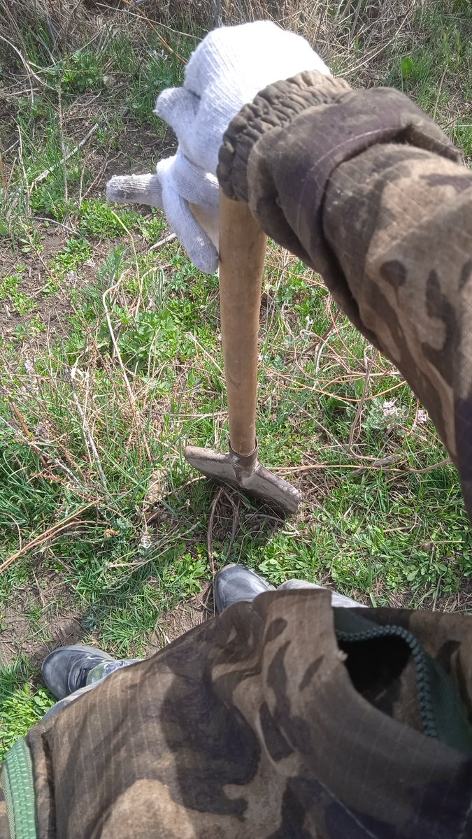 Vovanissimo tweet media