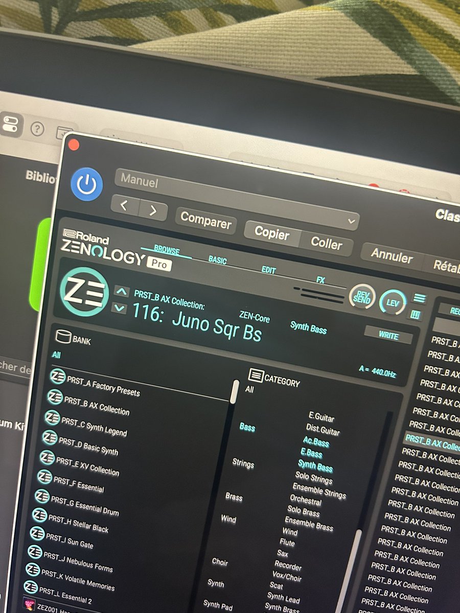 Jeune Flaneur 🇵🇸🇳🇨🏴🔻🌴🏝️🍃 tweet media