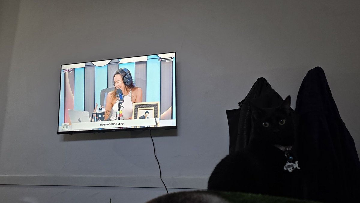 anclv's tweet photo. Acostada en el living, disfrutando del clima, de uds y con mi gatita Magia que se camufla con las camperas de fondo #SABADODEPLP  mejor imposible https://t.co/v3Cu54027B