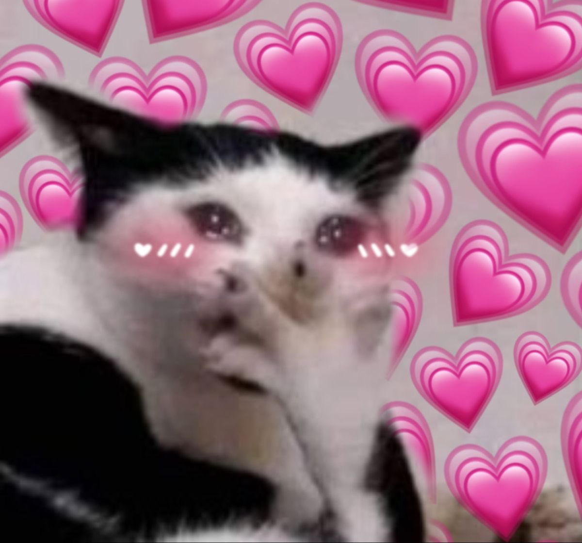 Trend for SANTA tweet media