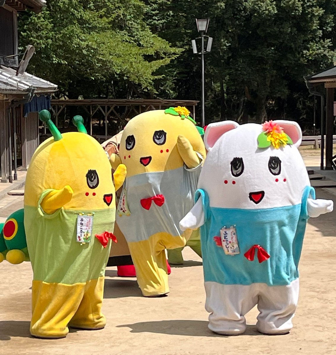 ふなっしー💙 tweet media