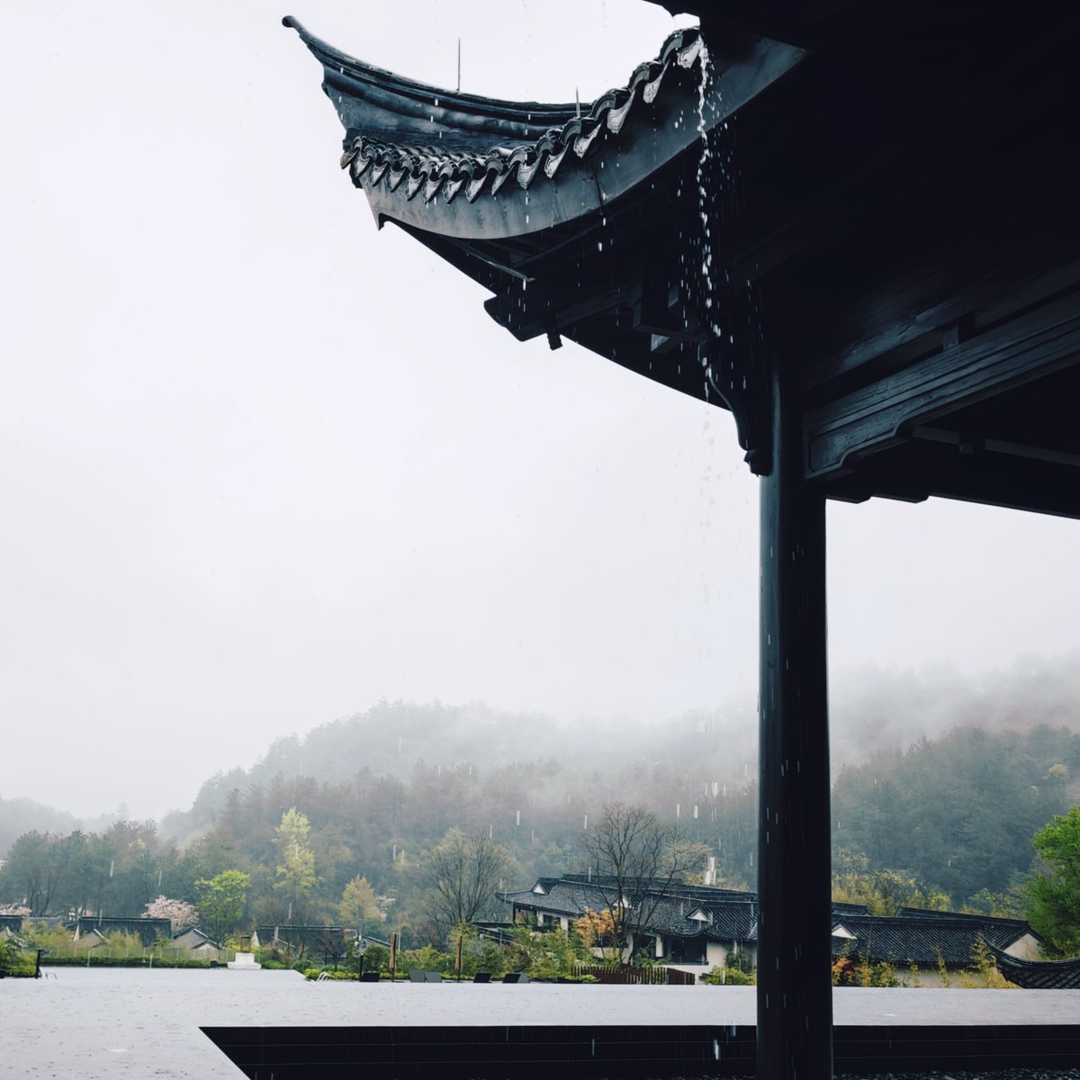 Mr.Bai 白先生 tweet media