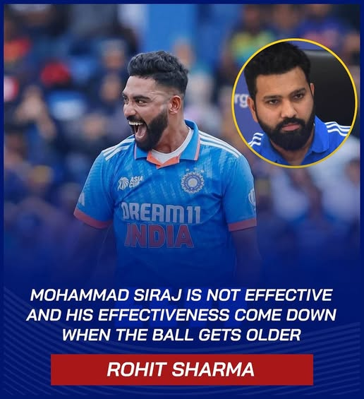 𝗬𝗼𝗿𝗸𝗲𝗿 tweet media