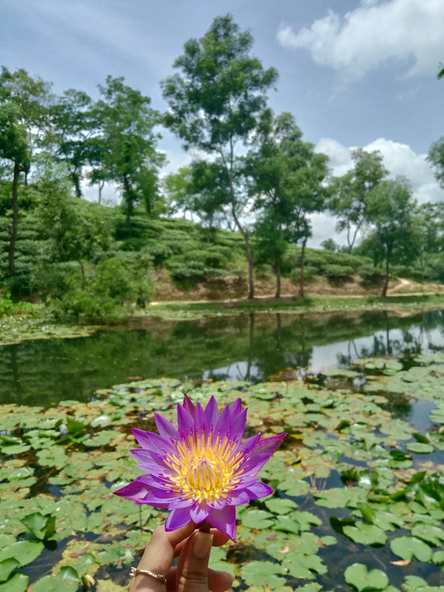 ফারিয়া☽̶☾ tweet media