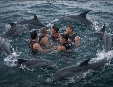 En 2004, quatre sauveteurs nageaient au large de la Nouvelle-Zélande lorsque sept dauphins les ont soudainement entourés et ont commencé à tourner autour d’eux.

Pendant 40 minutes, les dauphins ont nagé à quelques centimètres de leurs corps, frappant l’eau de leurs queues. Quand