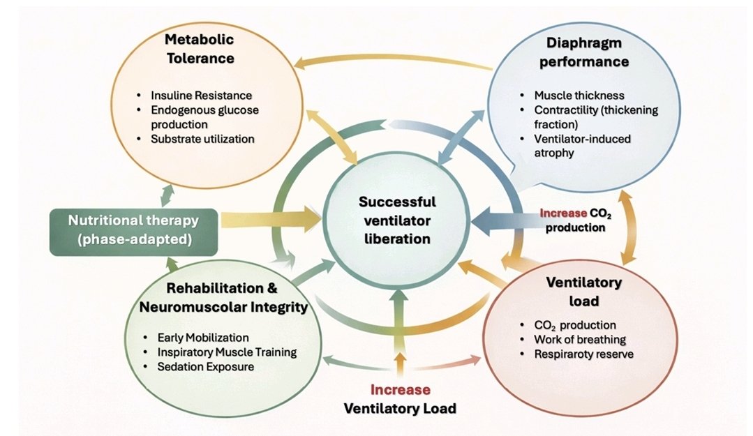 RECAT👩🏽⚕️🏥👨🏽⚕️🇲🇽🫀 tweet media