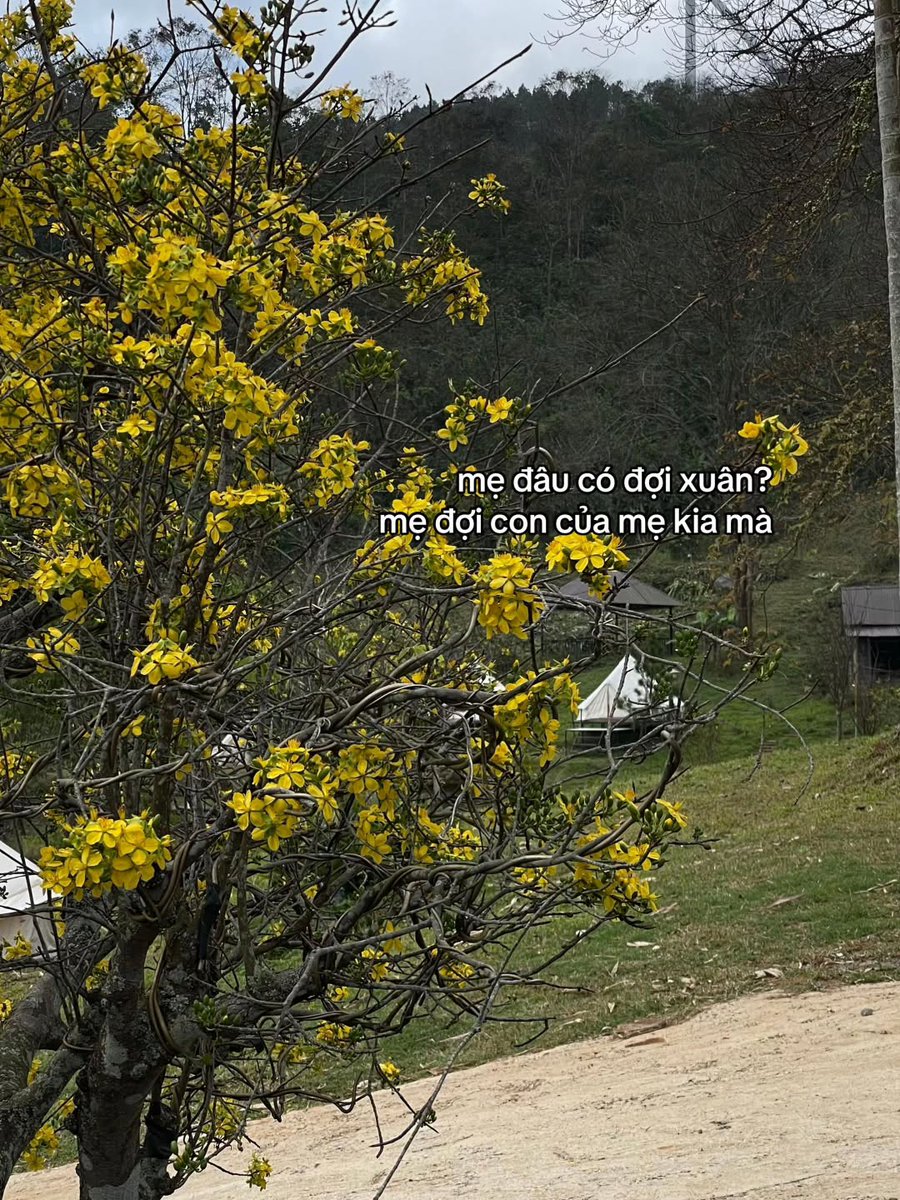 Laura Maria tweet media