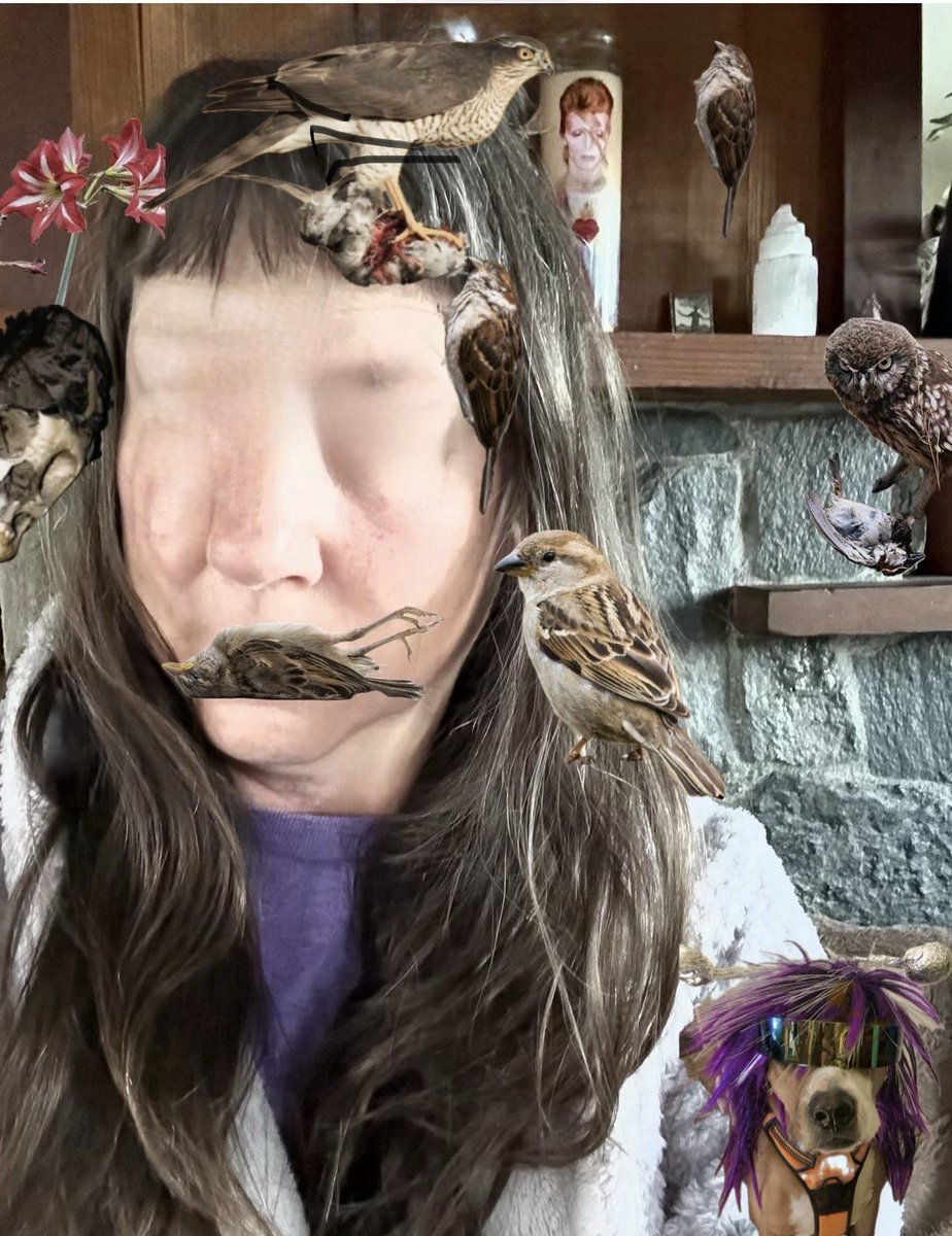 JulesInTheMountains TM tweet media