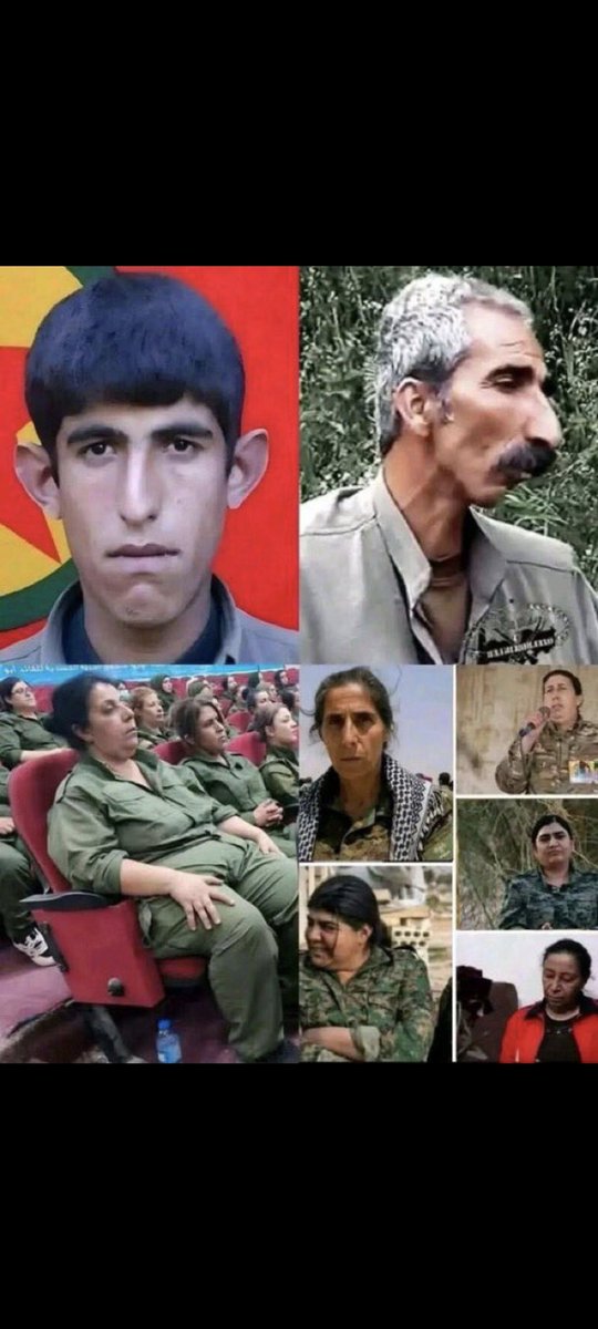 ATTİLÂ ASİLKAN tweet media