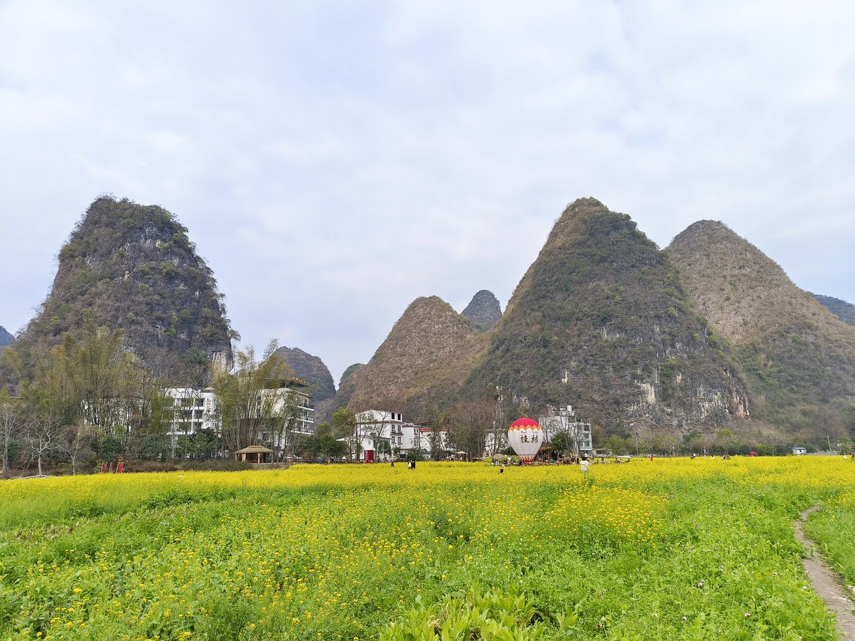 laoer二哥 tweet media