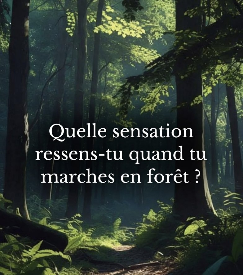 Sagesse Pure tweet media