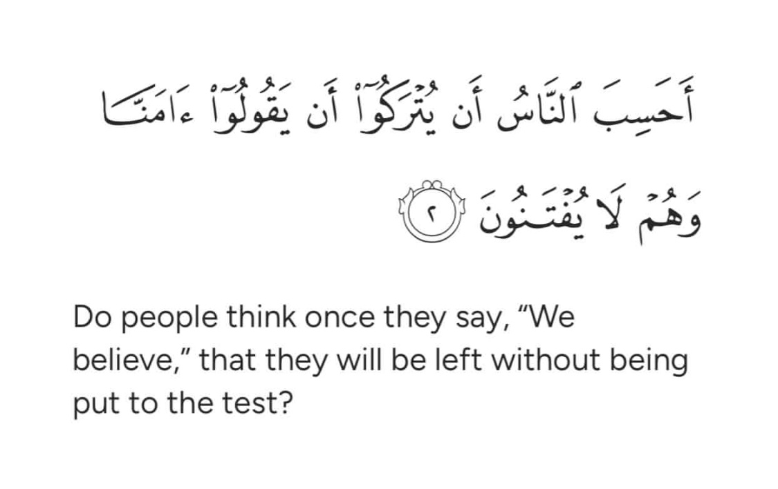 Mohammad Asif tweet media