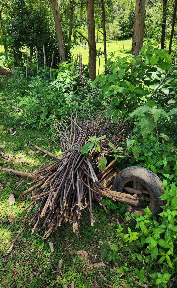 BonmatB🇰🇪 tweet media