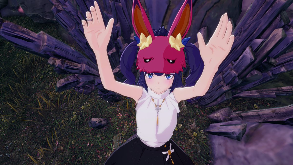 るしあ🐈🐾 tweet media