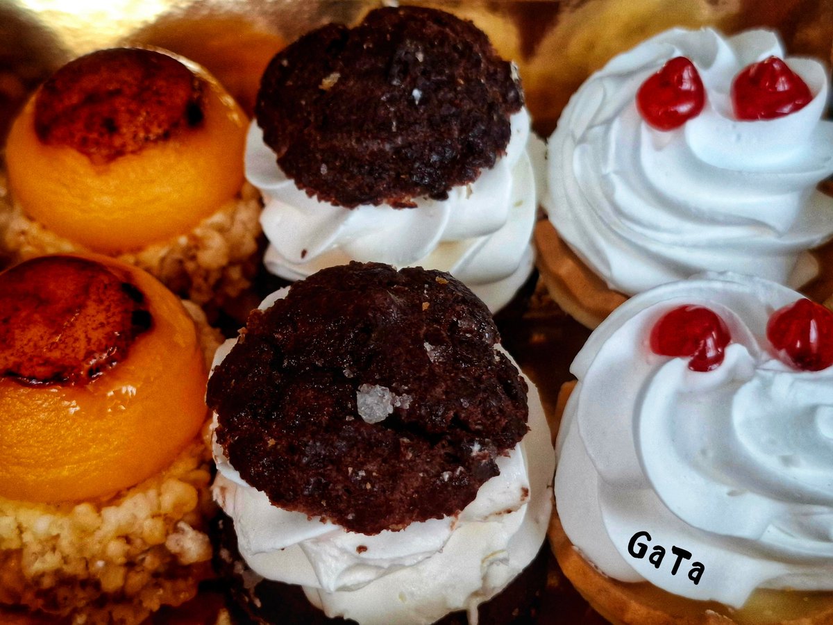 Lα Gαƚα Eɳ Tυ Tҽʝαԃσ tweet media