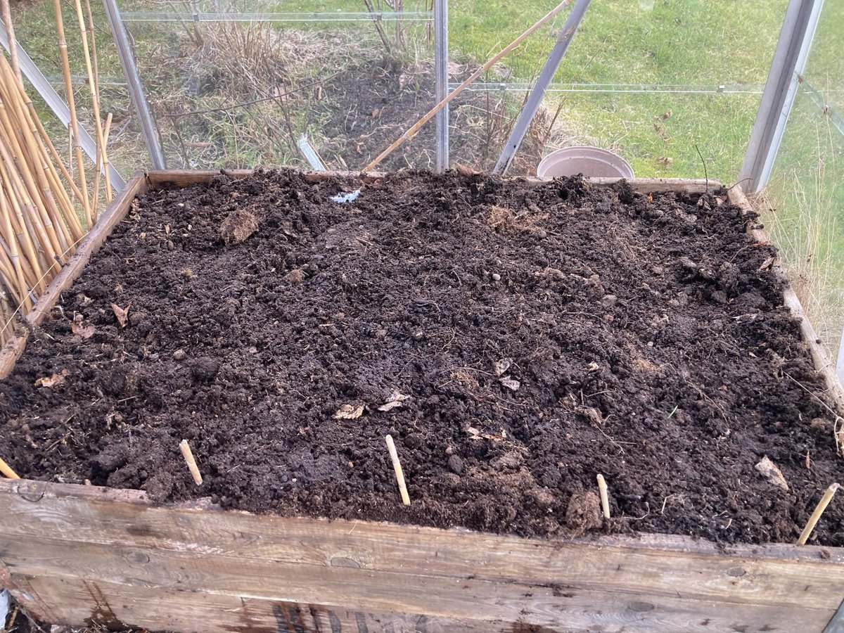 Dynamite667 tweet media