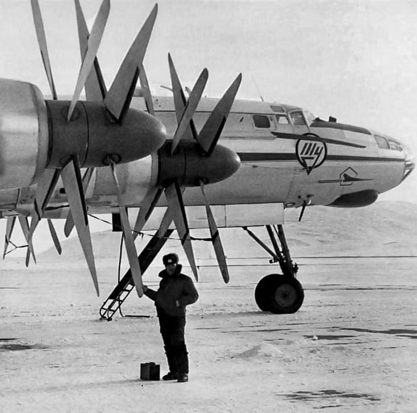 Pinat TC-JBM tweet media