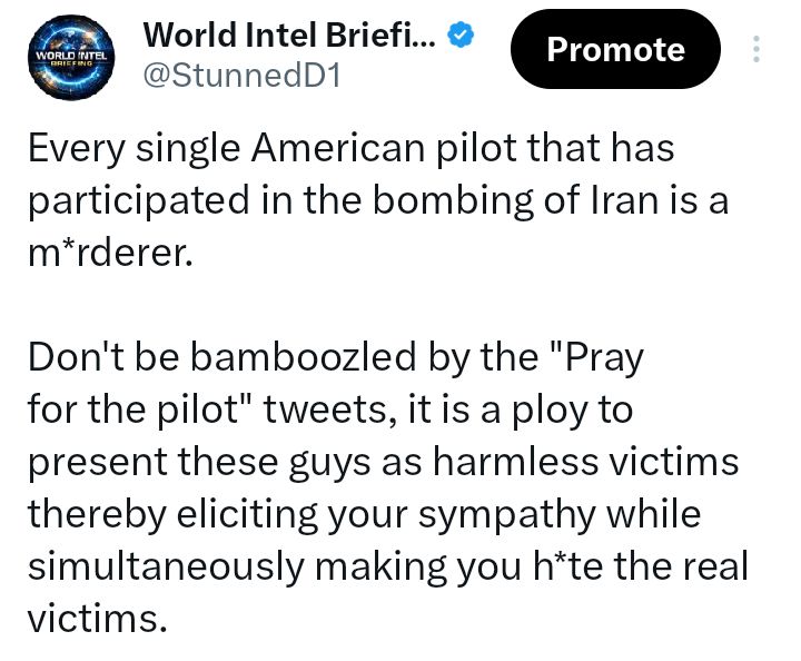 World Intel Briefing tweet media