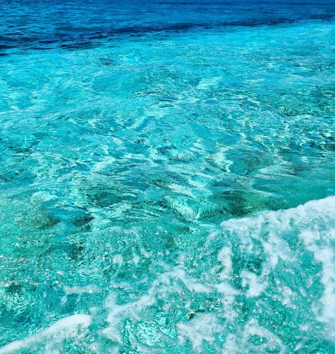 Yayita Paloma Uribe de Oviedo🕊️💋 tweet media