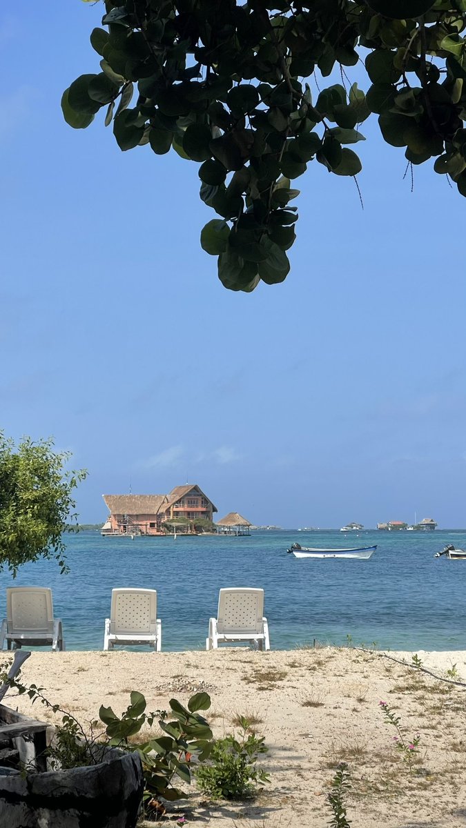 Yayita Paloma Uribe de Oviedo🕊️💋 tweet media