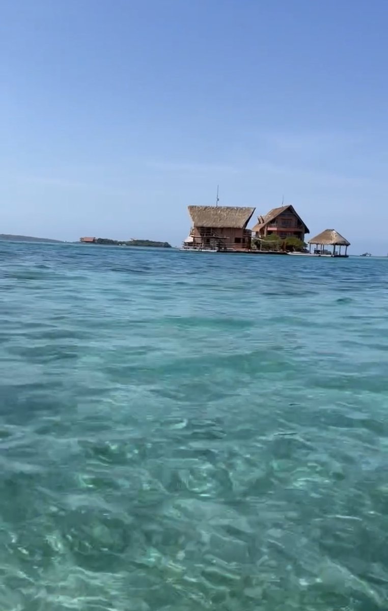 Yayita Paloma Uribe de Oviedo🕊️💋 tweet media