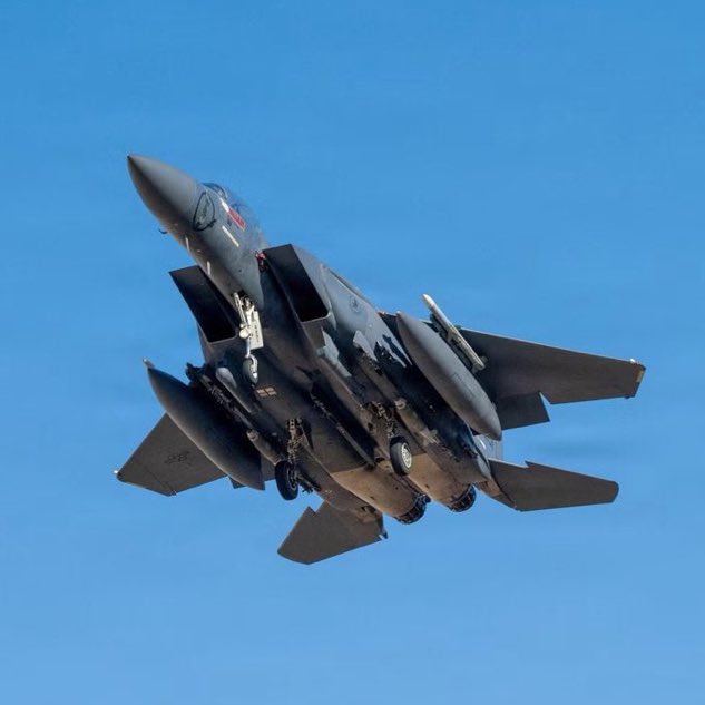 MsCryptowhale tweet media