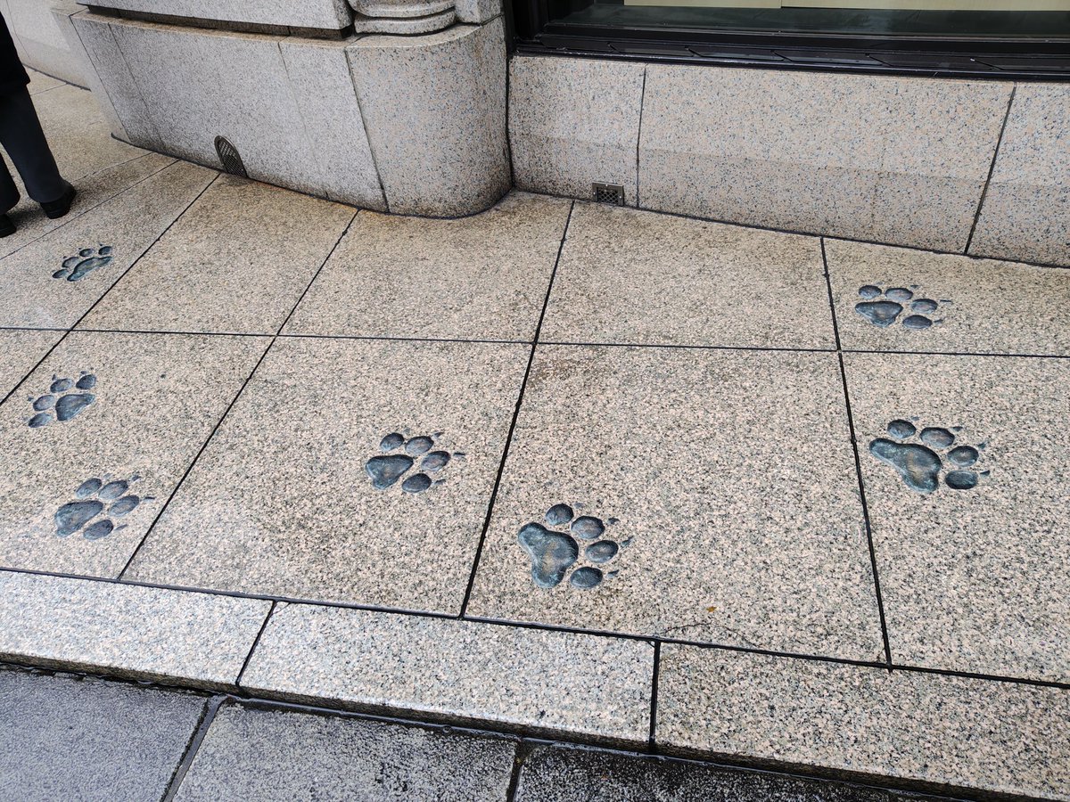 さらん tweet media