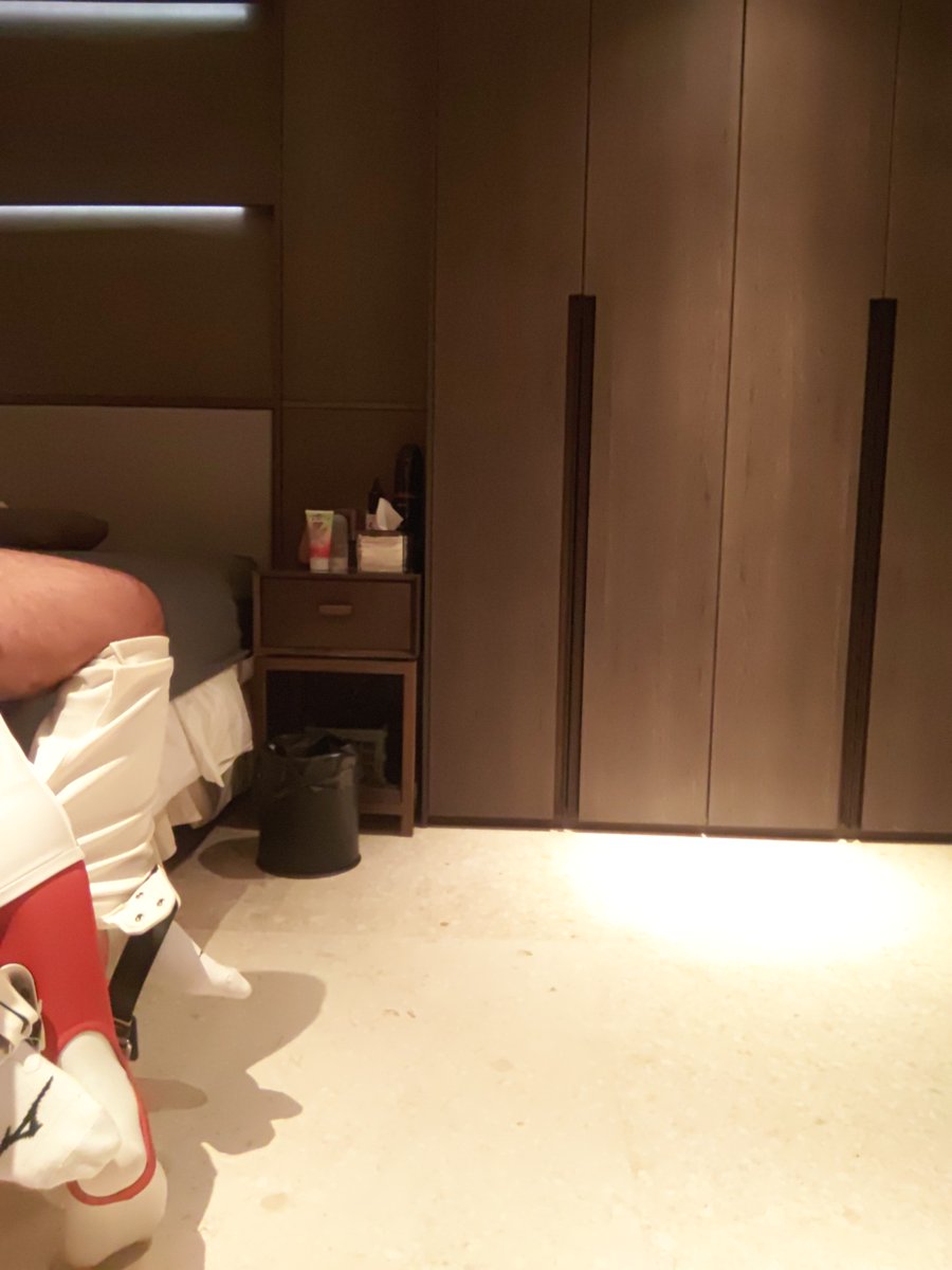 ノエル。Noel. tweet media