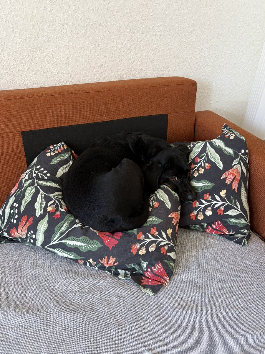 sumatra🌈 tweet media