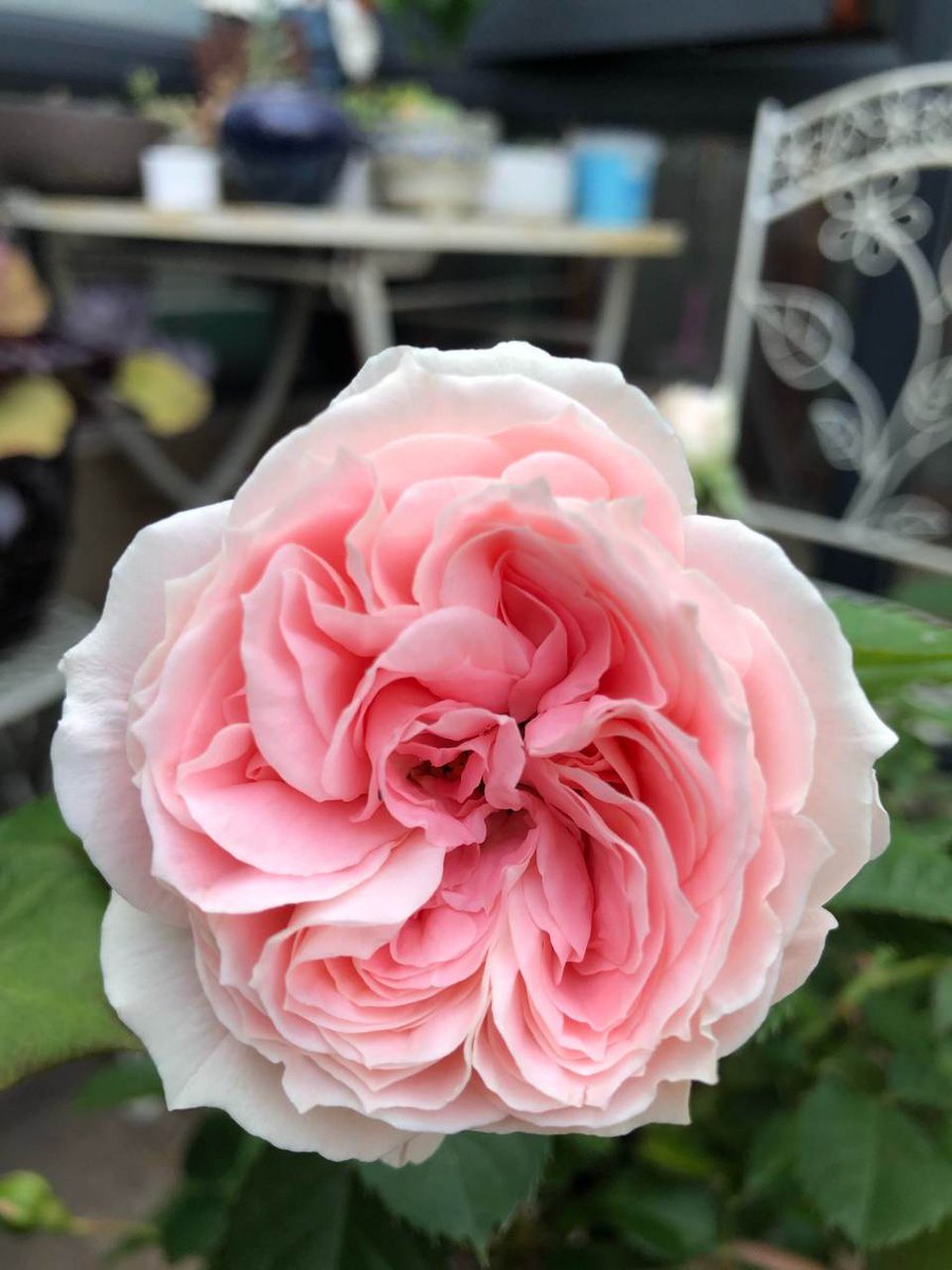 Natali Tereshchenko tweet media