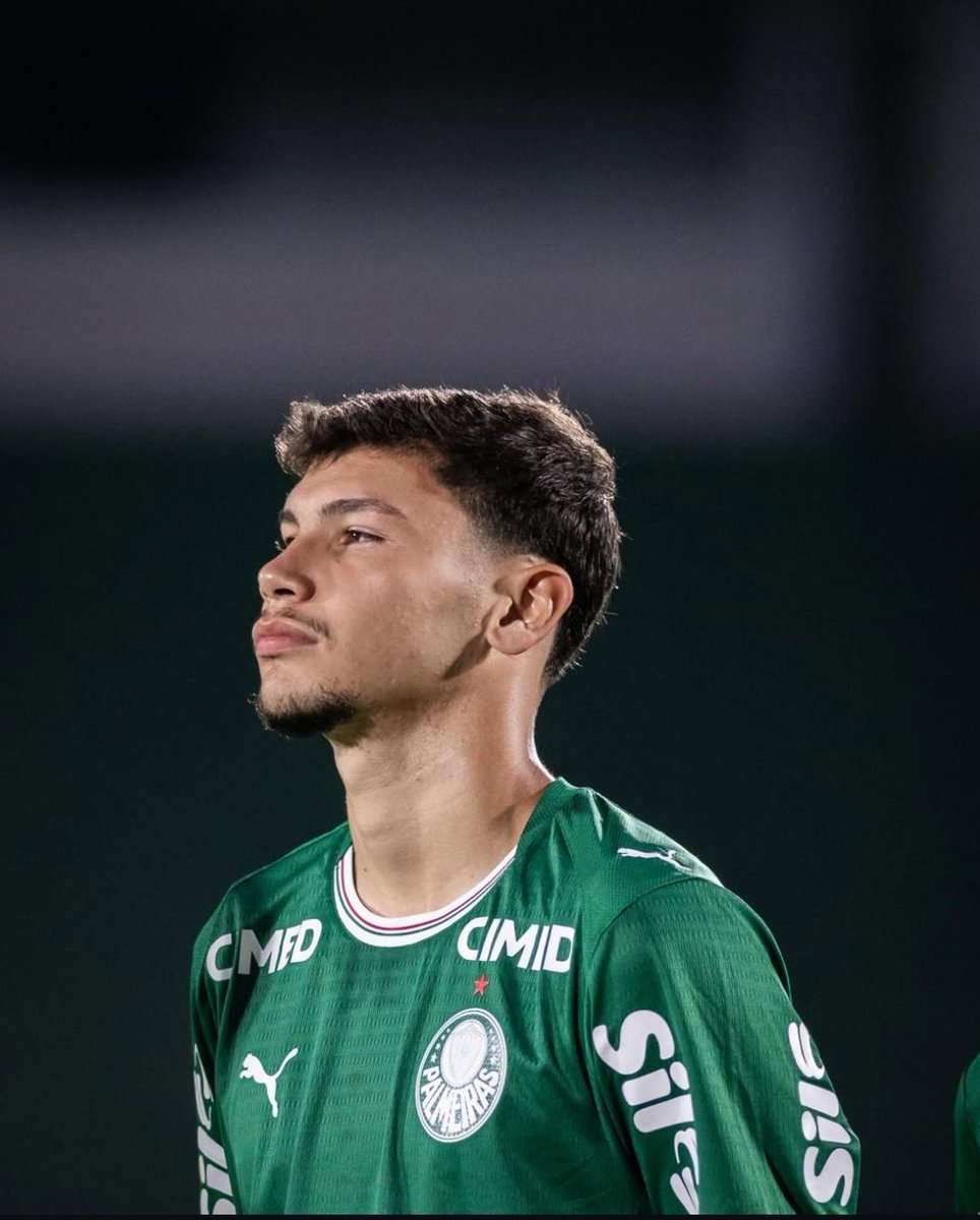 Planeta do Palmeiras 🌎 tweet media