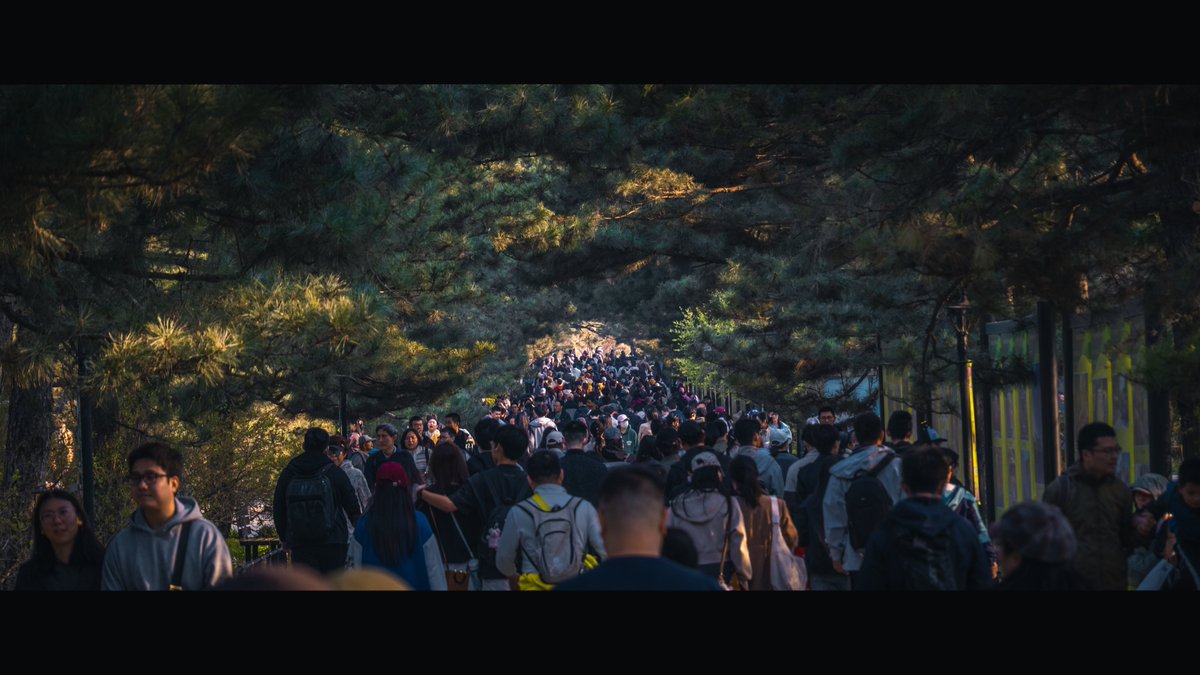 Starbugs tweet media