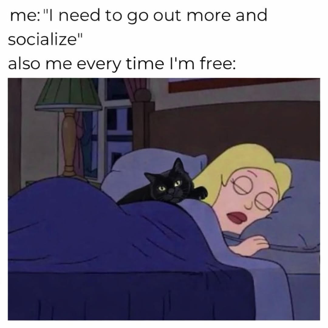 Cat Therapy 😸 tweet media