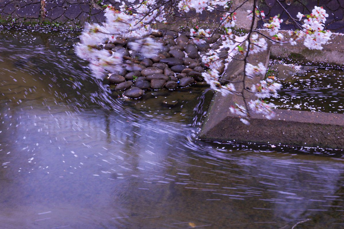 こーべー tweet media