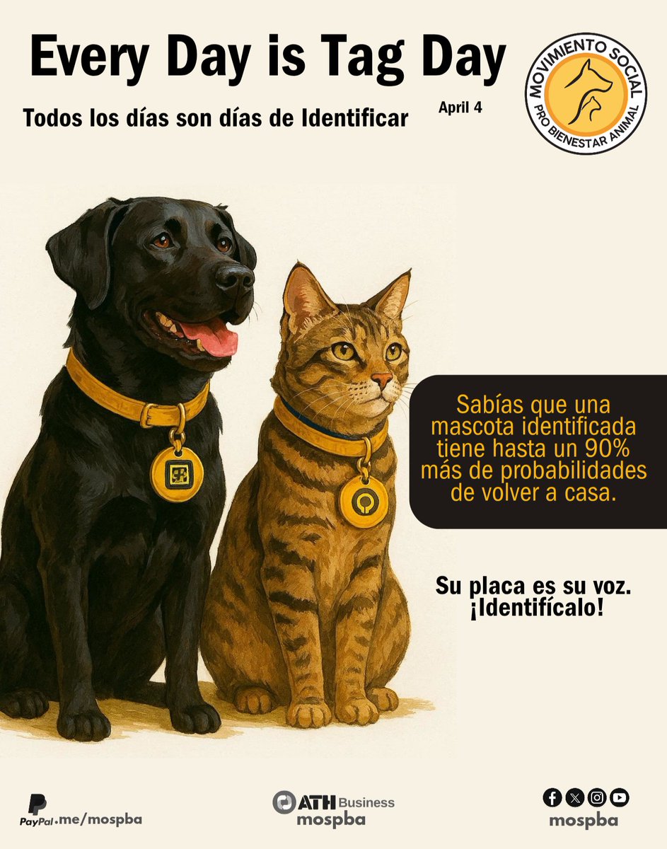 Sabías que una mascota identificada tiene hasta un 90% más de probabilidades de volver a casa? 
🐾 En el #EveryDayIsTagDay - April 4, queremos recordarte que el amor también se demuestra con una placa o tag ID actualizada.