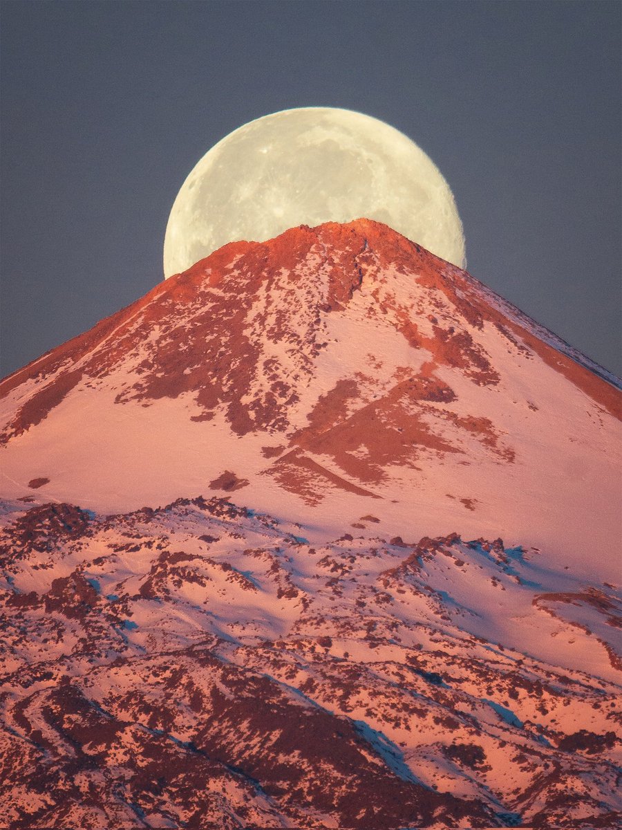 Efrén Yanes tweet media