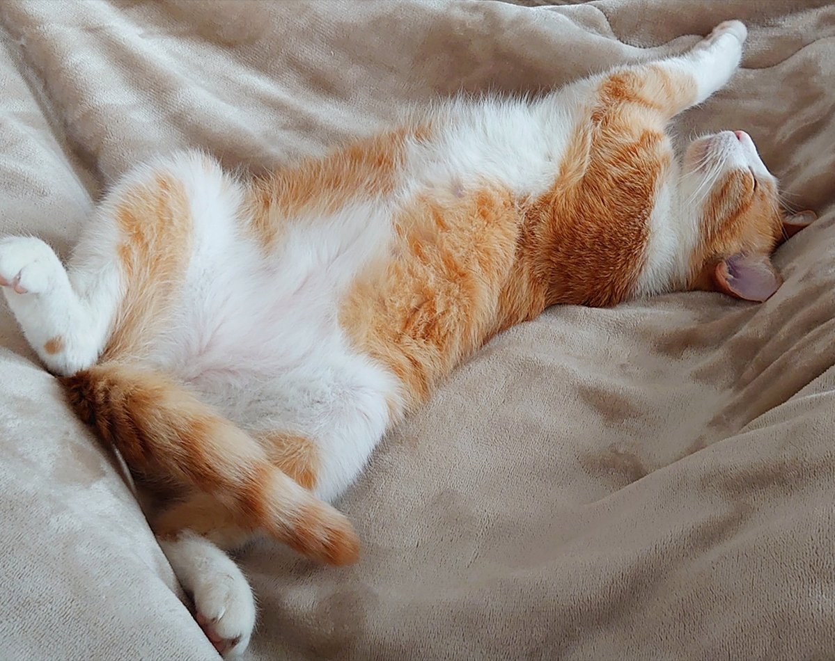 琴乃🌸お返事遅れます😣💦 tweet media