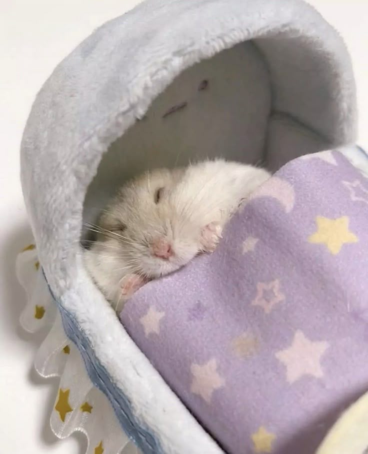 Citation Brotisserie Chicken tweet media