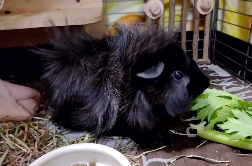 🎵小さな風🎵 tweet media